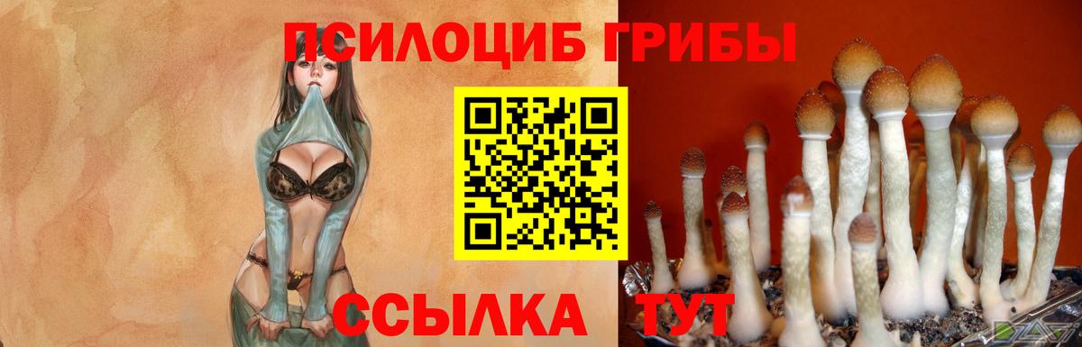 Псилоцибиновые грибы мухоморы Можайск